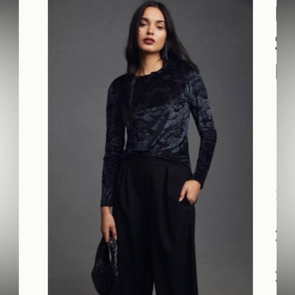 Anthropologie Elegant Black & Navy sheer Velvet Blouse